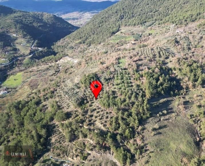 Emlak Ofisinden Satılık 3.0702m² Zeytinlik - Görsel 7