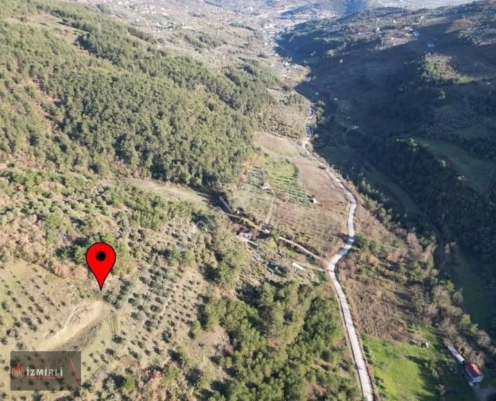 Emlak Ofisinden Satılık 3.0702m² Zeytinlik - Görsel 2