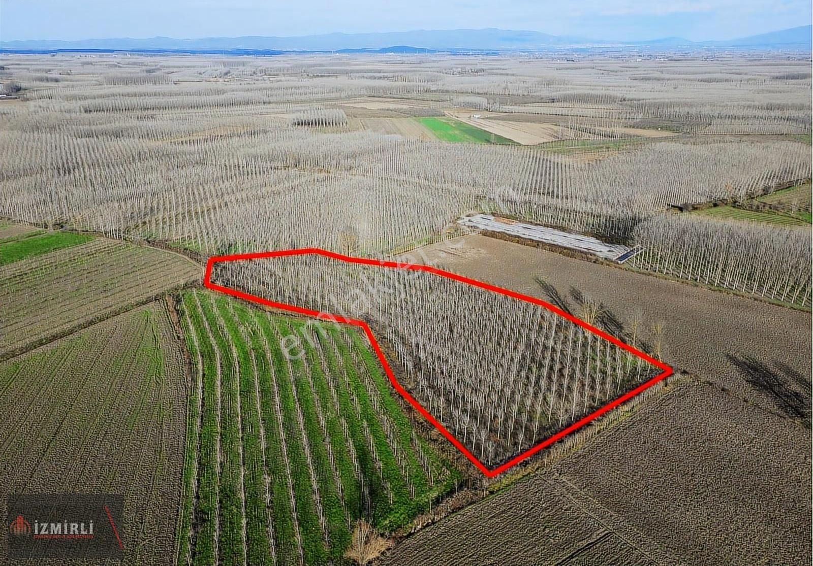 Sakarya Erenler Ekinli Mahallesinde 16.530 M² Tek Tapu