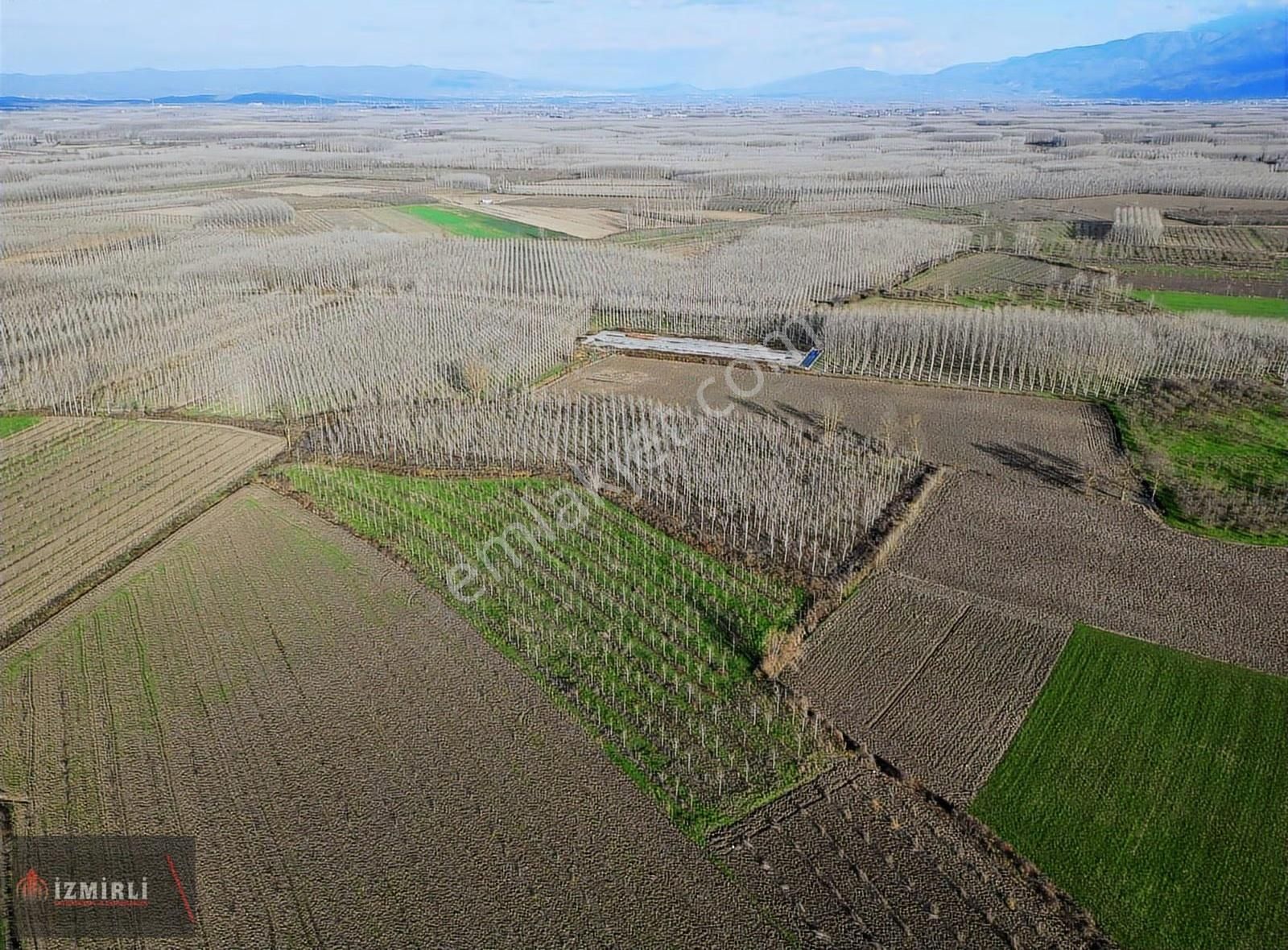 Sakarya Erenler Ekinli Mahallesinde 16.530 M² Tek Tapu - Görsel 3