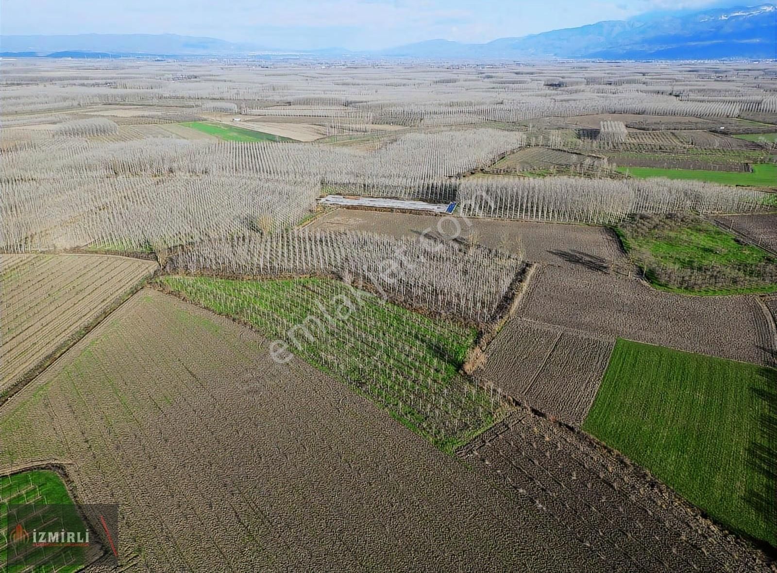 Sakarya Erenler Ekinli Mahallesinde 16.530 M² Tek Tapu - Görsel 4