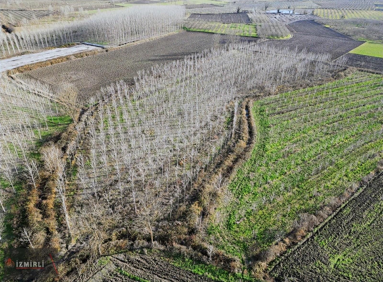 Sakarya Erenler Ekinli Mahallesinde 16.530 M² Tek Tapu - Görsel 14