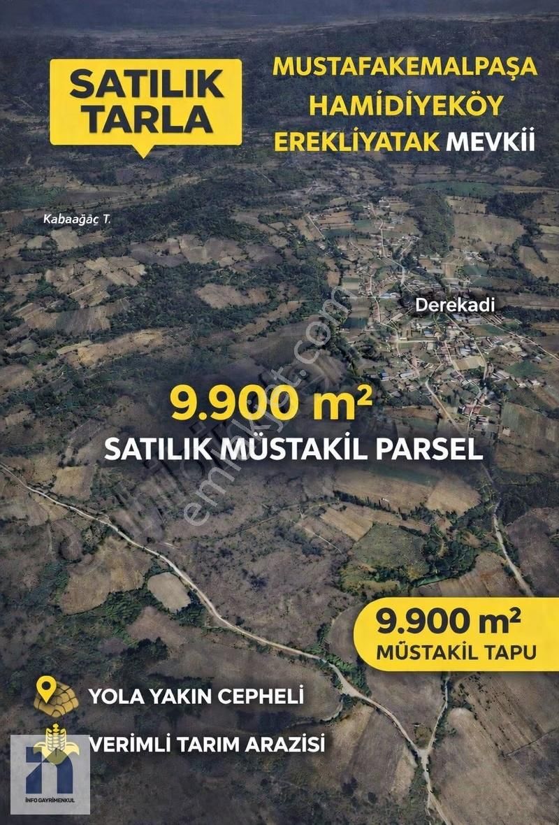 Bursa Mustafakemalpaşa Hamidiye Köyü Satılık 9.900 M2 Tarla