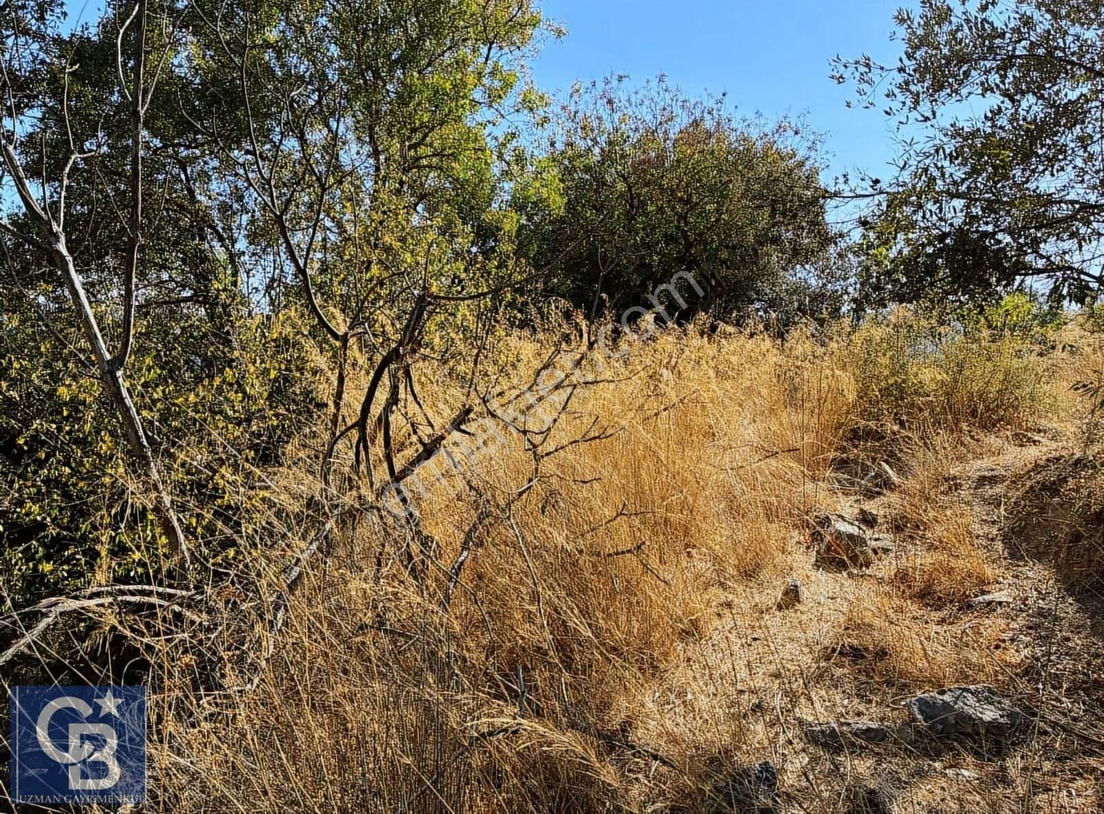 Ula Elmalı Da Emsalsiz Villa Arsaları. Lütfen Açıklamayı Okuyun - Görsel 11