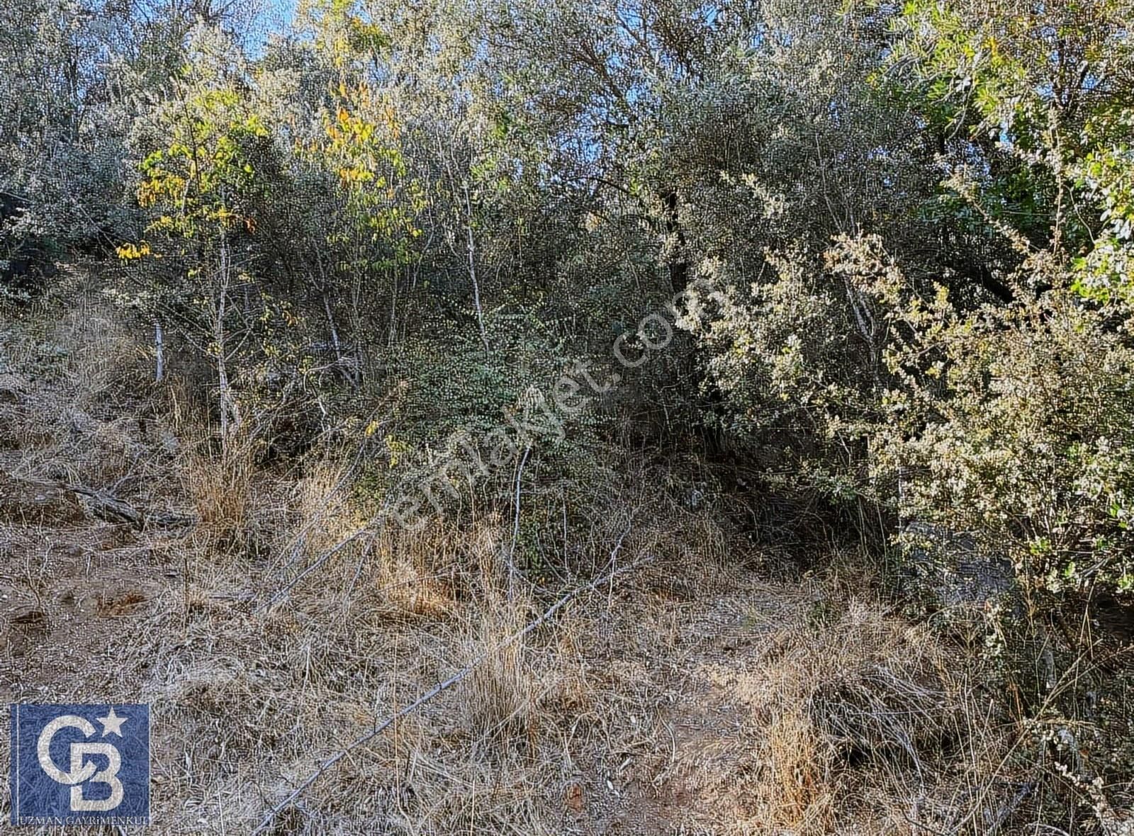 Ula Elmalı Da Emsalsiz Villa Arsaları. Lütfen Açıklamayı Okuyun - Görsel 12