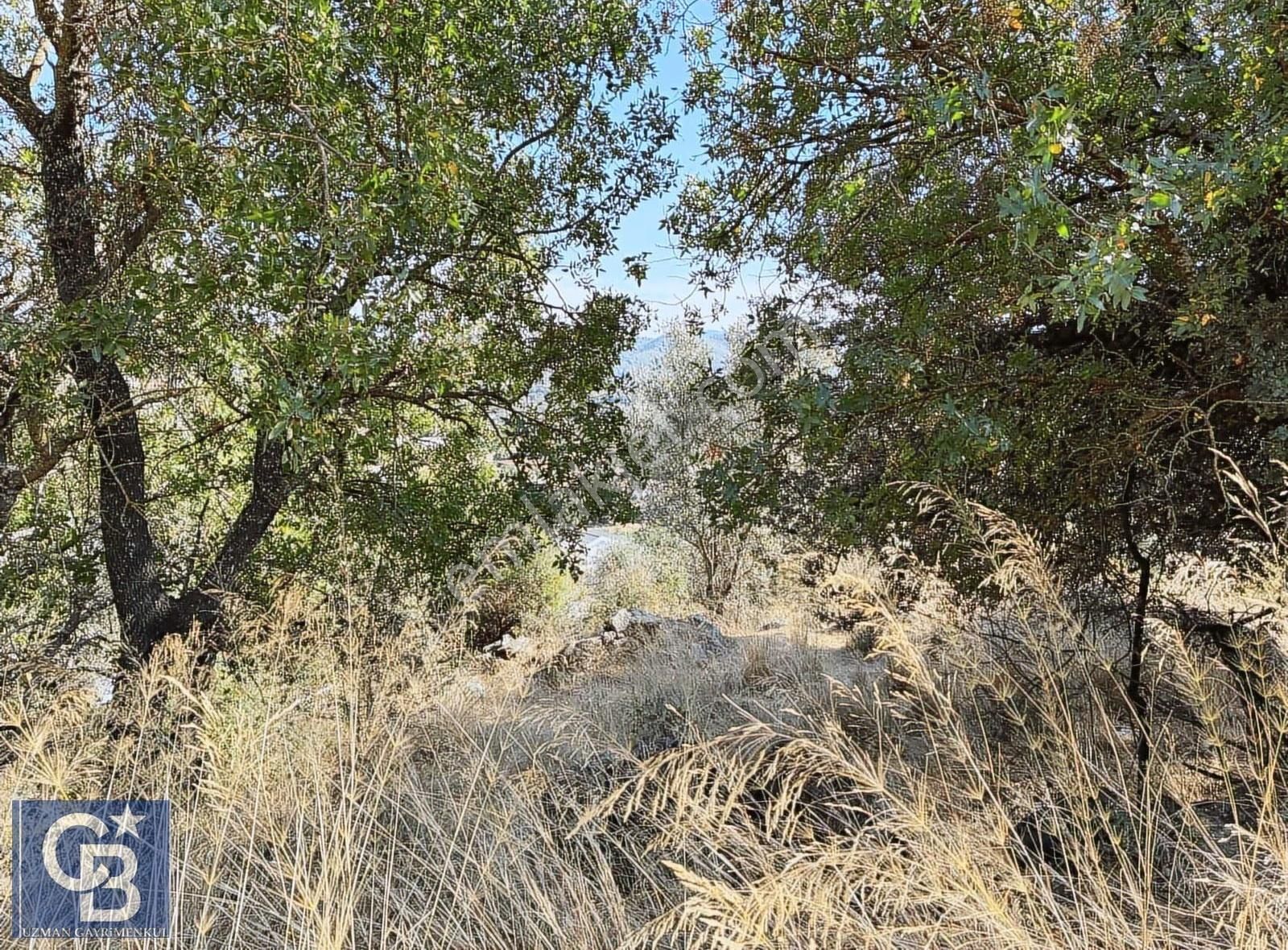 Ula Elmalı Da Emsalsiz Villa Arsaları. Lütfen Açıklamayı Okuyun - Görsel 13