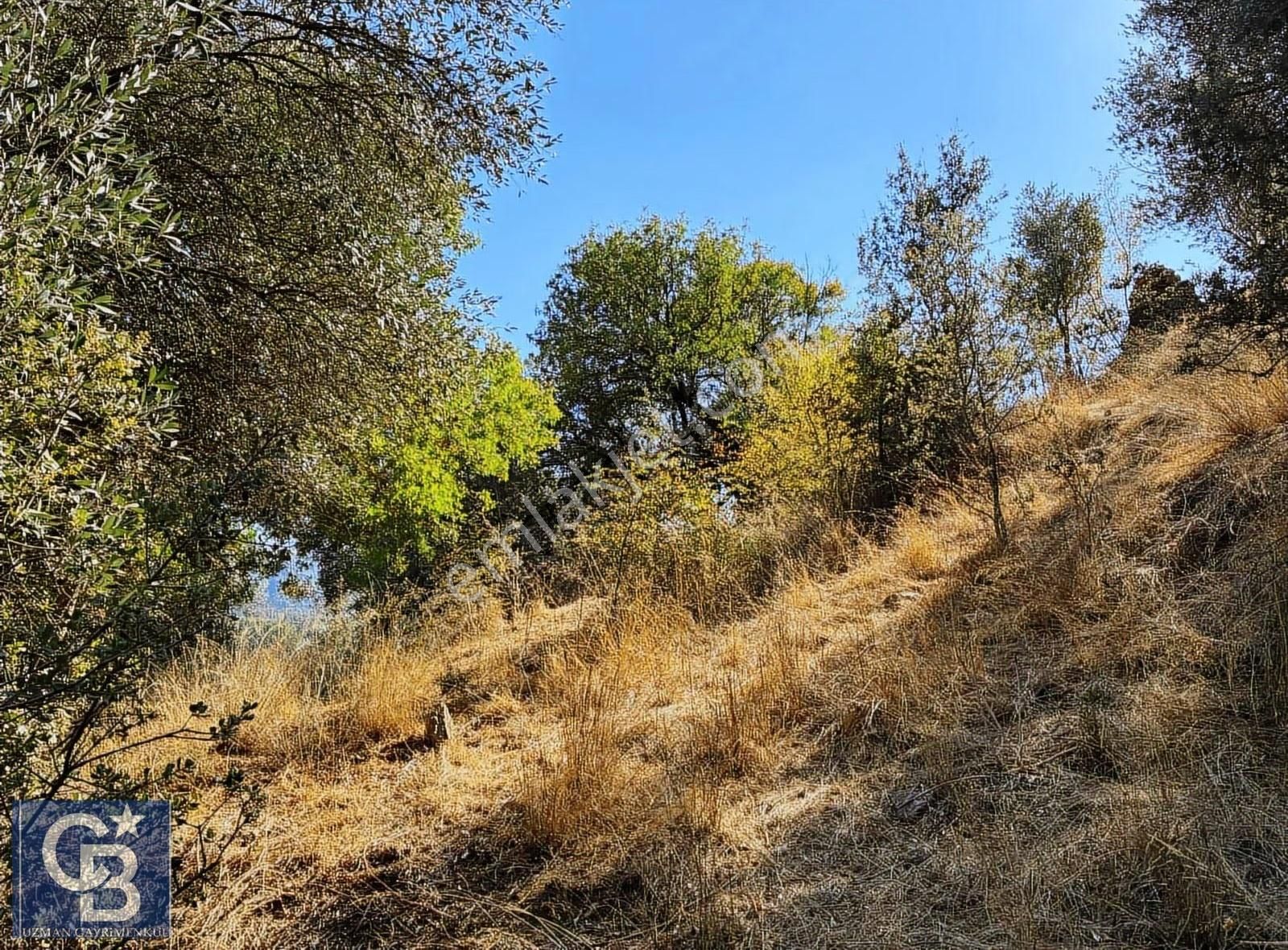 Ula Elmalı Da Emsalsiz Villa Arsaları. Lütfen Açıklamayı Okuyun - Görsel 15