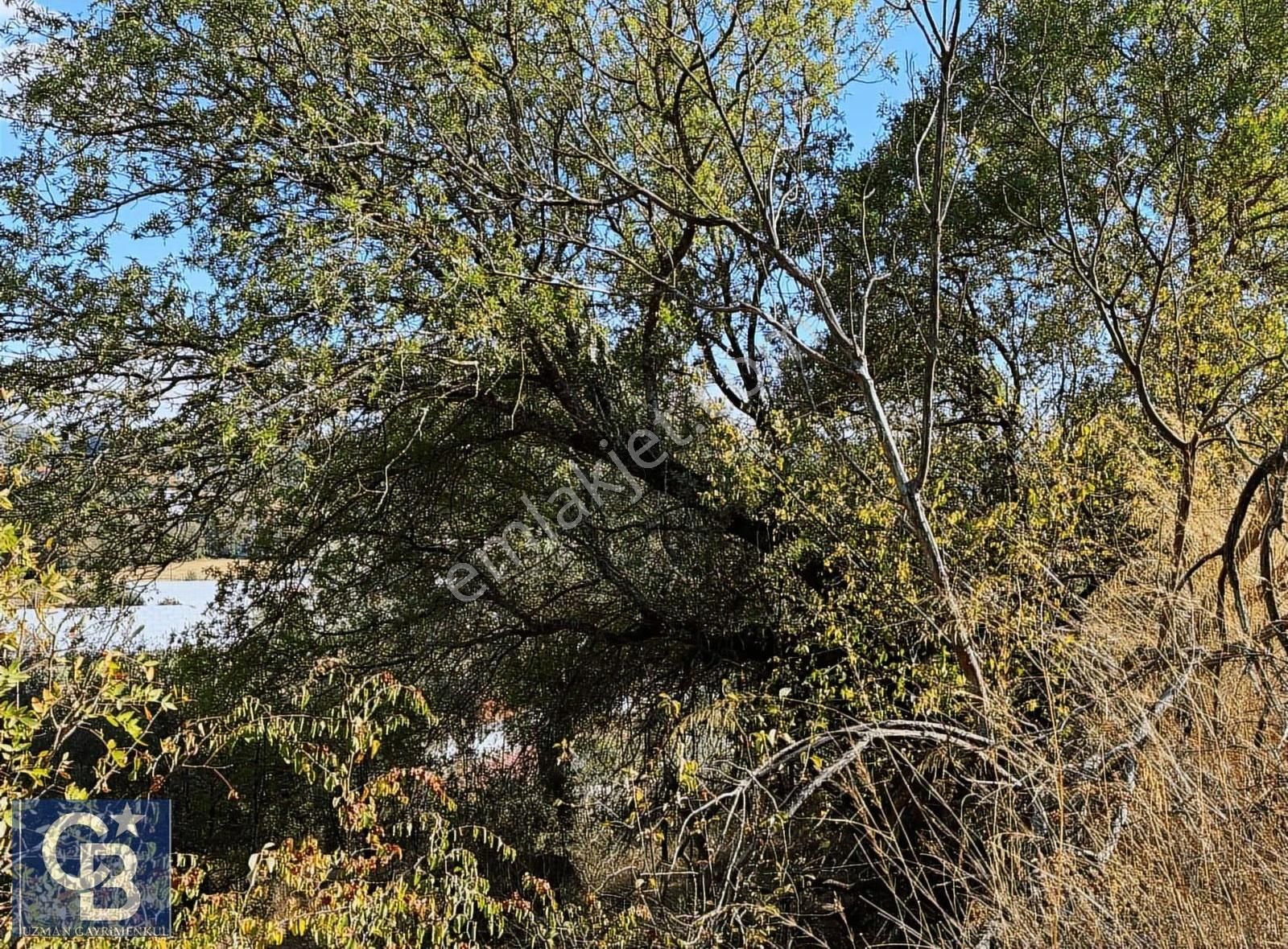 Ula Elmalı Da Emsalsiz Villa Arsaları. Lütfen Açıklamayı Okuyun - Görsel 4
