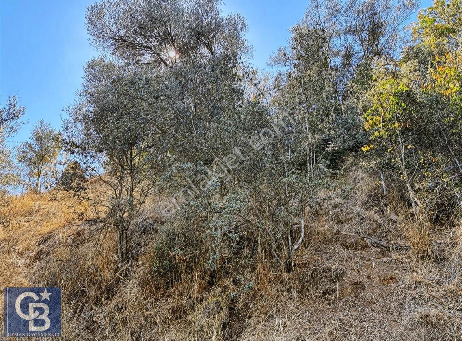 Ula Elmalı Da Emsalsiz Villa Arsaları. Lütfen Açıklamayı Okuyun - Görsel 7