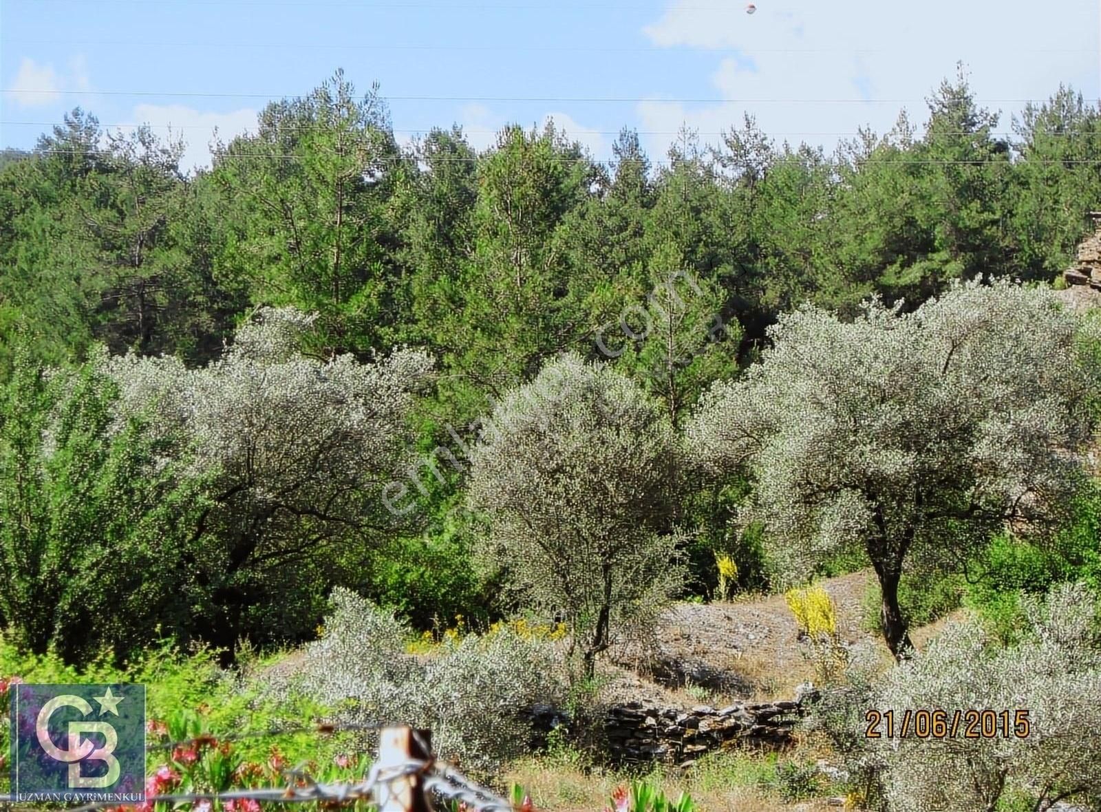 Menteşe Çaybükü'nde Muhteşem Arazi Ve Evleri Ltf Açklmy Okuyun. - Görsel 23