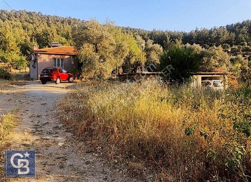 Menteşe Çaybükü'nde Muhteşem Arazi Ve Evleri Ltf Açklmy Okuyun. - Görsel 26