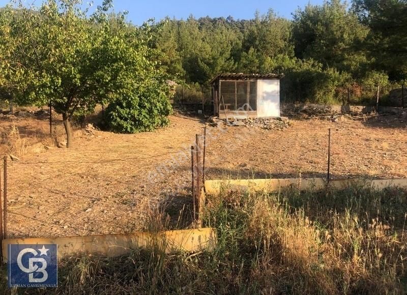 Menteşe Çaybükü'nde Muhteşem Arazi Ve Evleri Ltf Açklmy Okuyun. - Görsel 3