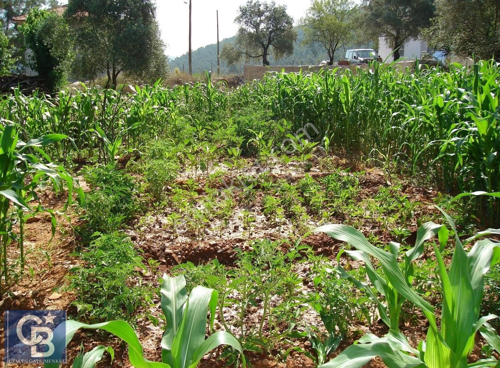 Menteşe Çaybükü'nde Muhteşem Arazi Ve Evleri Ltf Açklmy Okuyun. - Görsel 30