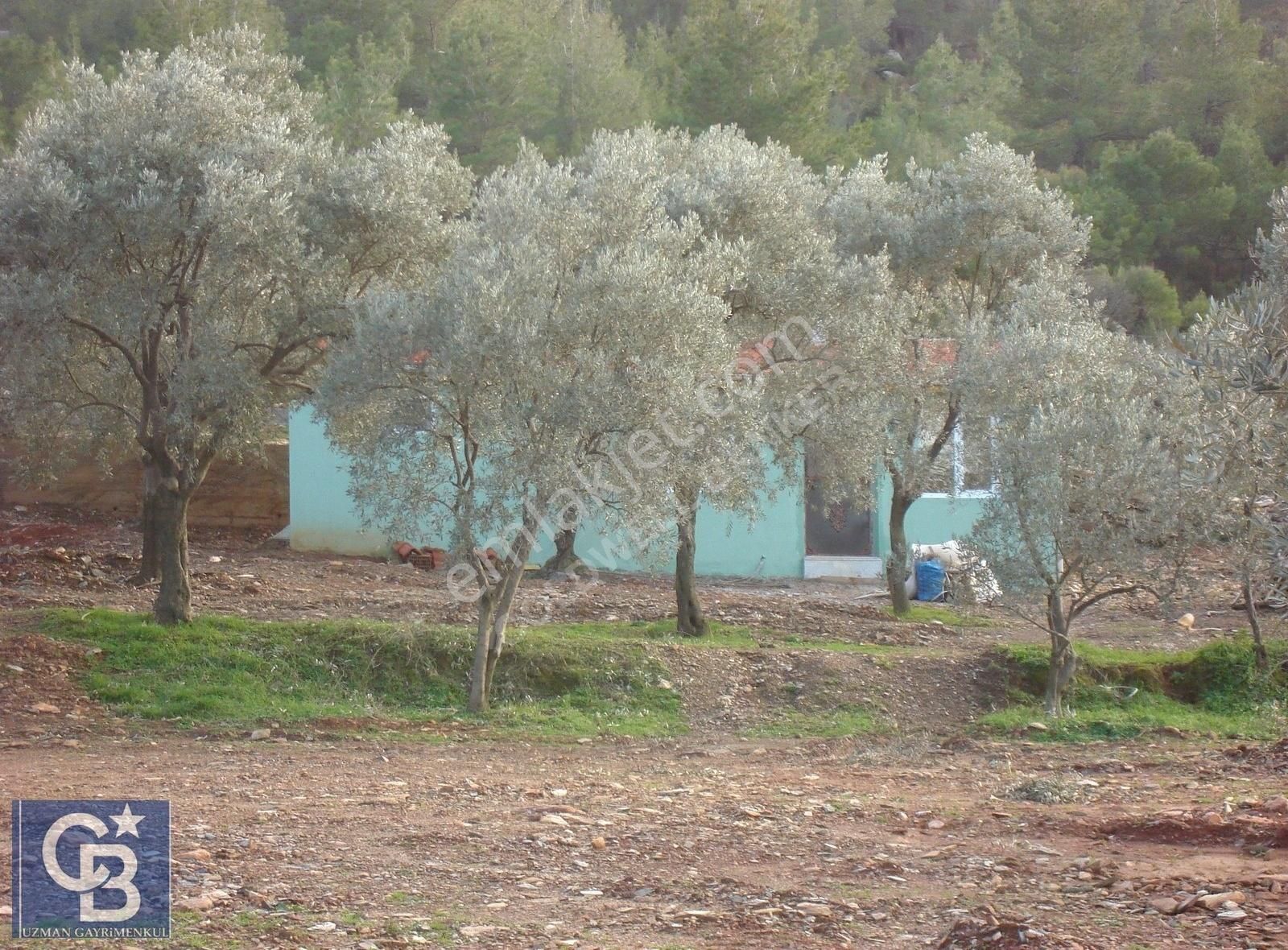 Menteşe Çaybükü'nde Muhteşem Arazi Ve Evleri Ltf Açklmy Okuyun. - Görsel 5