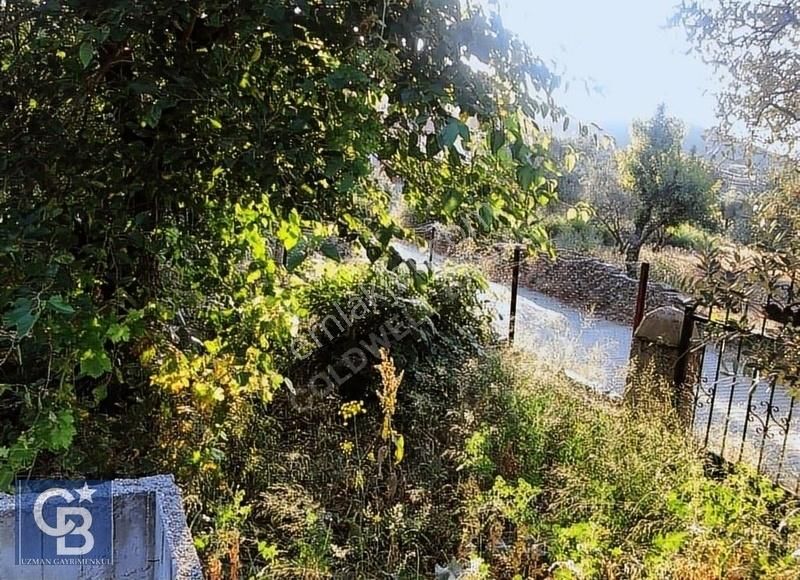 Menteşe Çaybükü'nde Muhteşem Arazi Ve Evleri Ltf Açklmy Okuyun. - Görsel 13