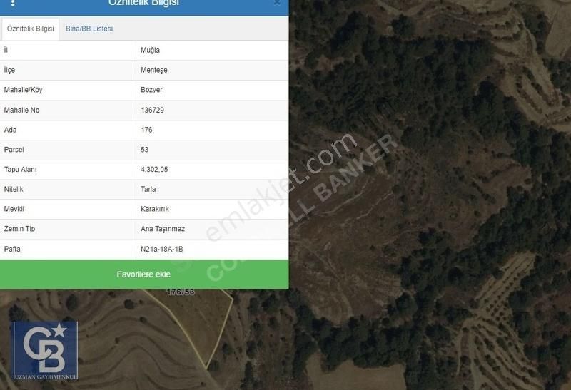 Muğla Menteşe Bozyerde 4.302 M2 Fırsat Kupon Arazi - Görsel 4