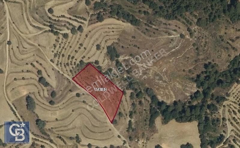 Muğla Menteşe Bozyerde 4.302 M2 Fırsat Kupon Arazi