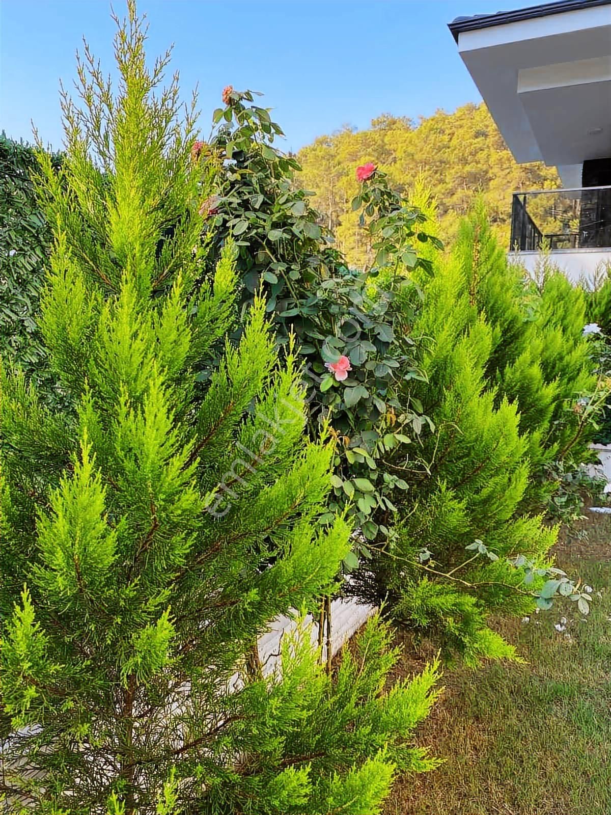 Dalaman Karadere Mevkii'nde Doğayla İç İçe Eşyalı Müstakil Villa - Görsel 21