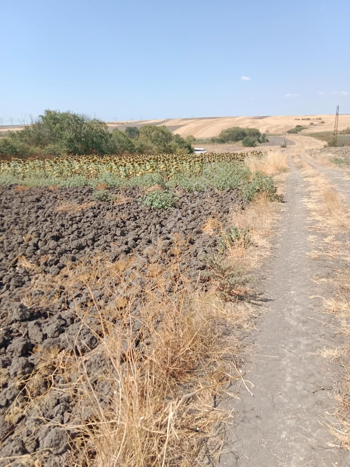 Kw Plus' Tan Resmi Yolu Olan E5 E Yakın Bağ Yeri-bağ Evi Yapılır