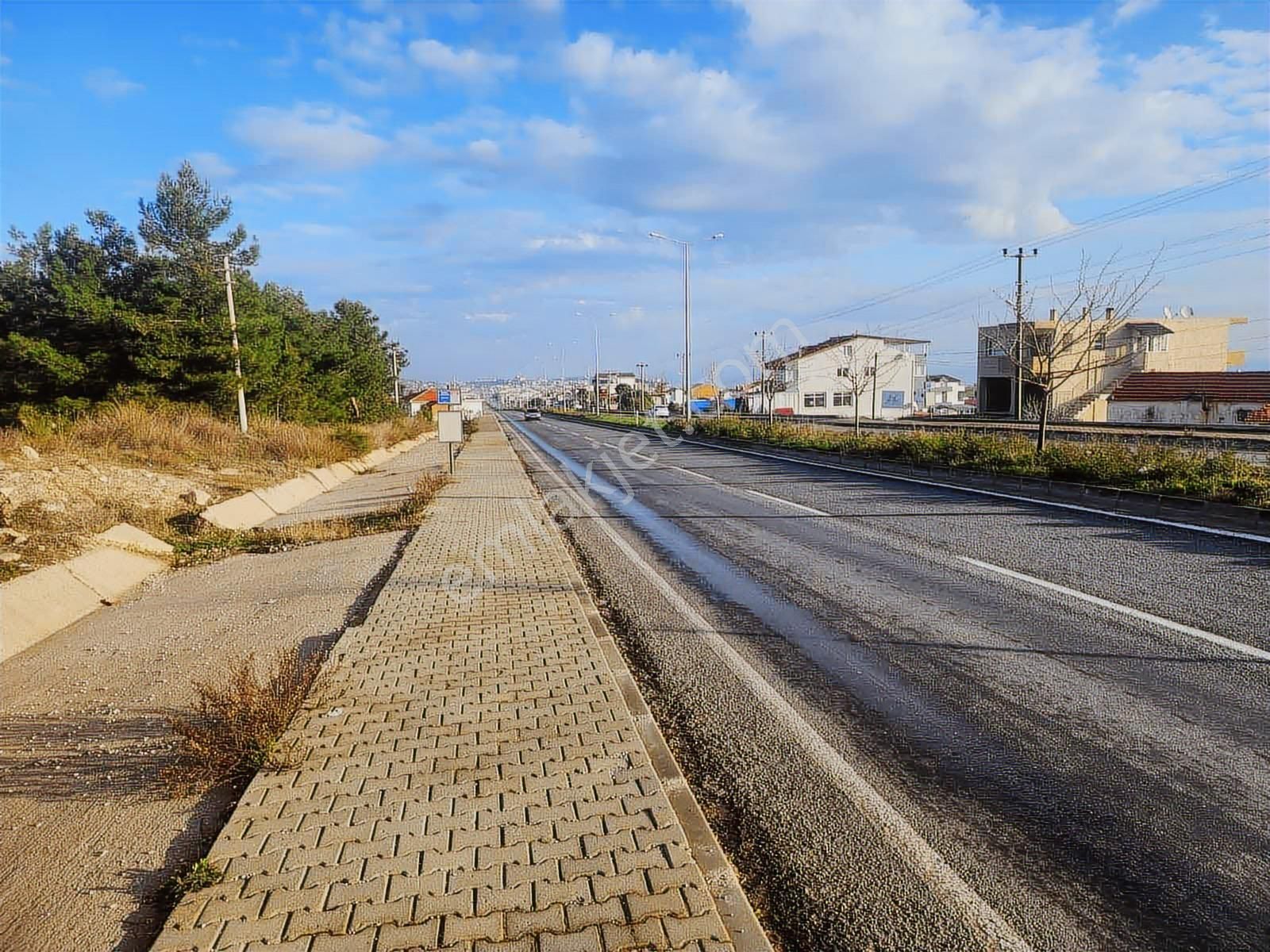 Mordoğan Emlaktan İzmir Caddesinde 2487m2 Satılık Köşe Tarla - Görsel 4