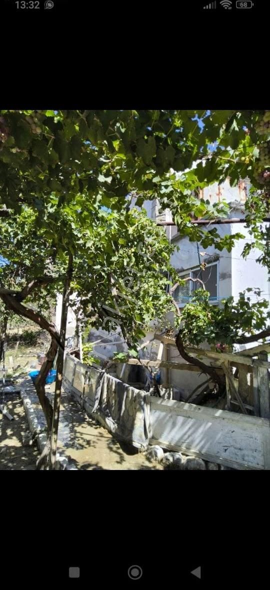 Pamukkale Kara Kovada 28500 Metrekare Arazi İçinde Ciftlik - Görsel 9