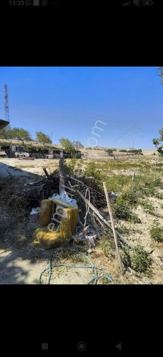 Pamukkale Kara Kovada 28500 Metrekare Arazi İçinde Ciftlik - Görsel 7