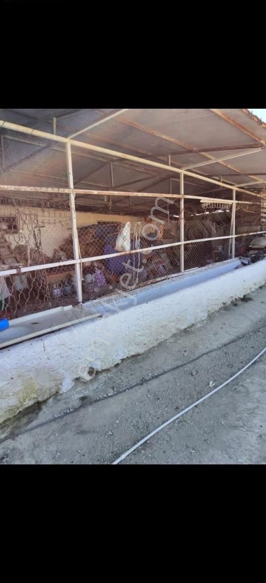 Pamukkale Kara Kovada 28500 Metrekare Arazi İçinde Ciftlik - Görsel 11