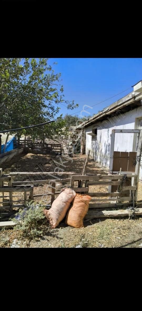 Pamukkale Kara Kovada 28500 Metrekare Arazi İçinde Ciftlik - Görsel 14