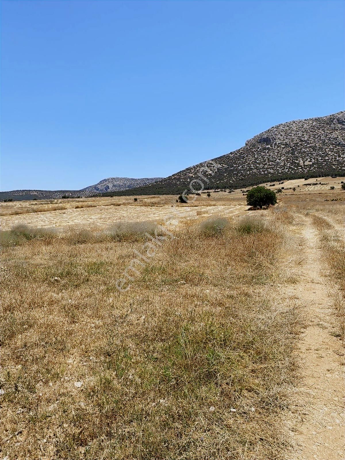 Korkuteli Yeşilyayla Köyü - Görsel 4