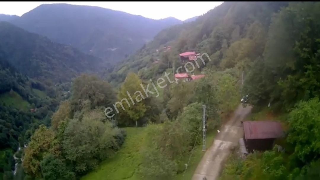 Sahibinden Rize/çamlıhemşin Yukarışimşirli Köyünde Tek Tapu Satılık Arsa - Görsel 6