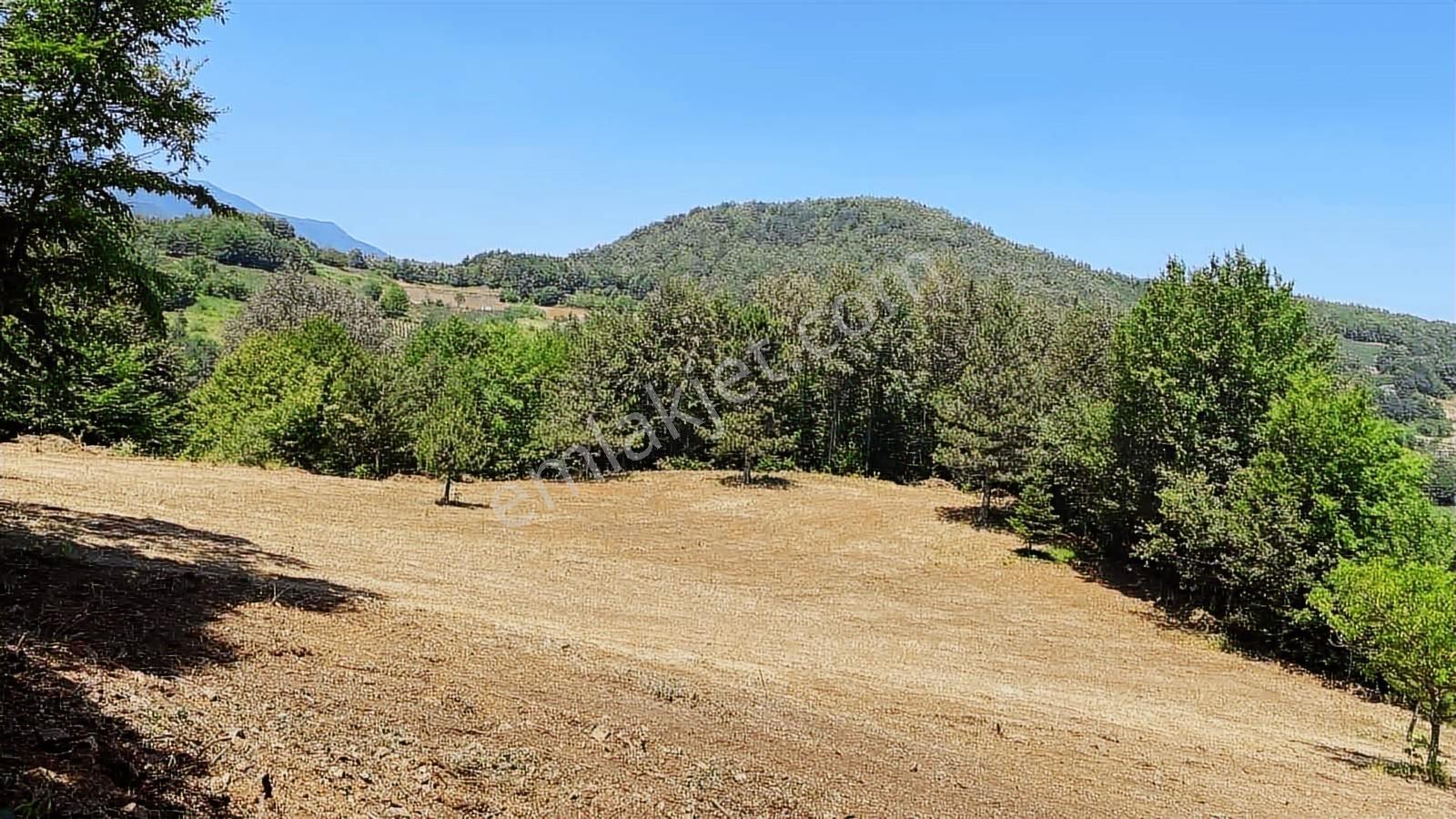 Bursa Kestel Şevketiye De Satlık Çok Amaçlı Kulanım İçin Arazi - Görsel 8