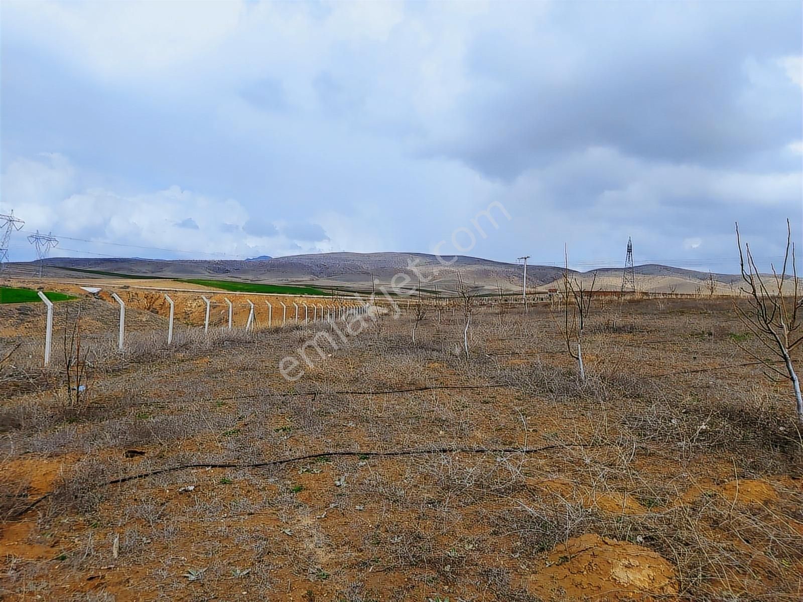 Nokta Emlakta Dönümü 225.000 Tl'ye Yola Sıfır Ceviz Bahçesi - Görsel 34