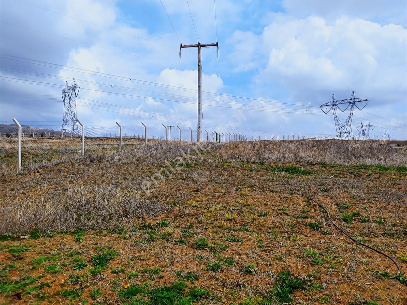 Nokta Emlakta Dönümü 225.000 Tl'ye Yola Sıfır Ceviz Bahçesi - Görsel 9