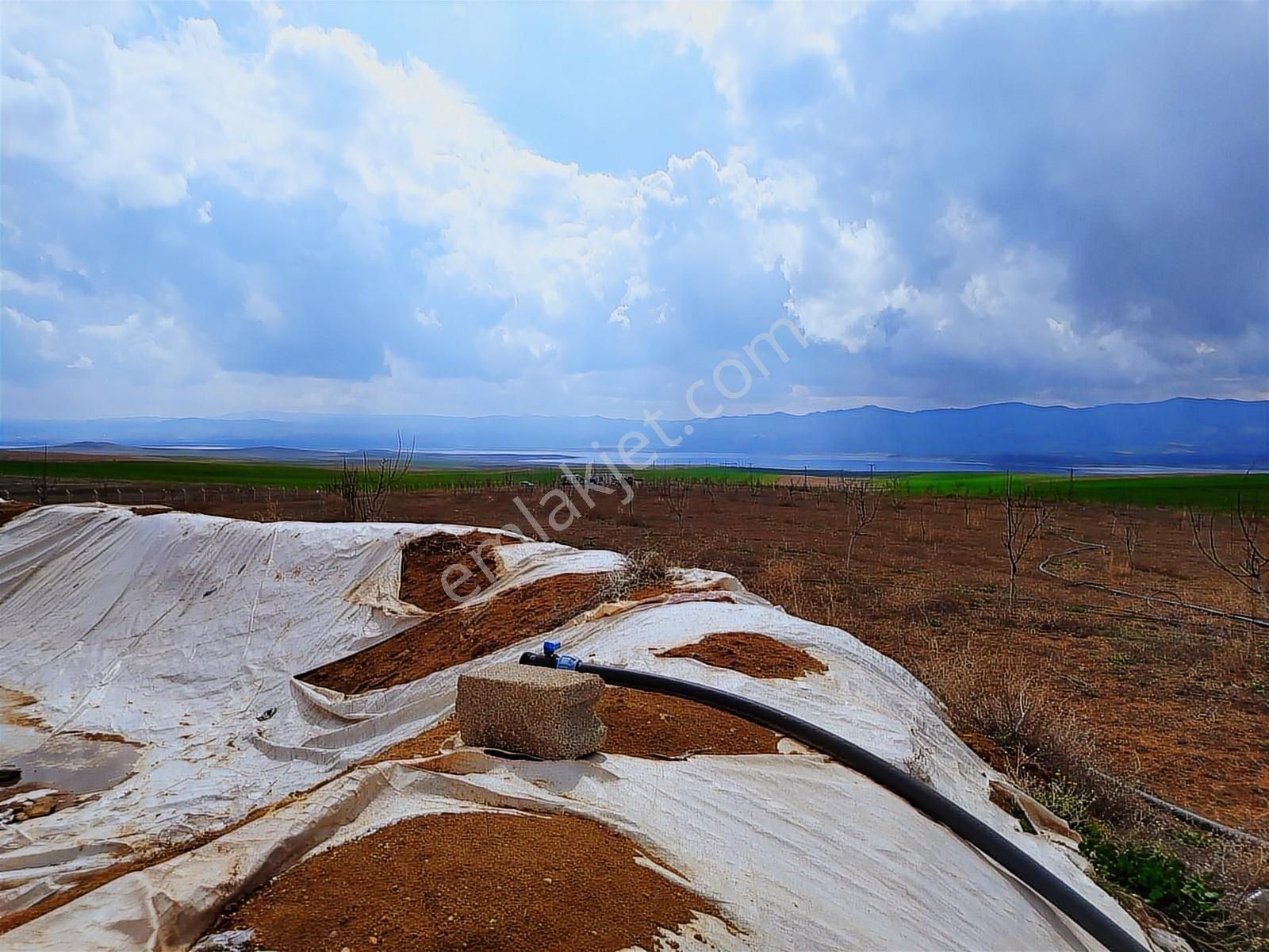 Nokta Emlakta Dönümü 225.000 Tl'ye Yola Sıfır Ceviz Bahçesi - Görsel 22