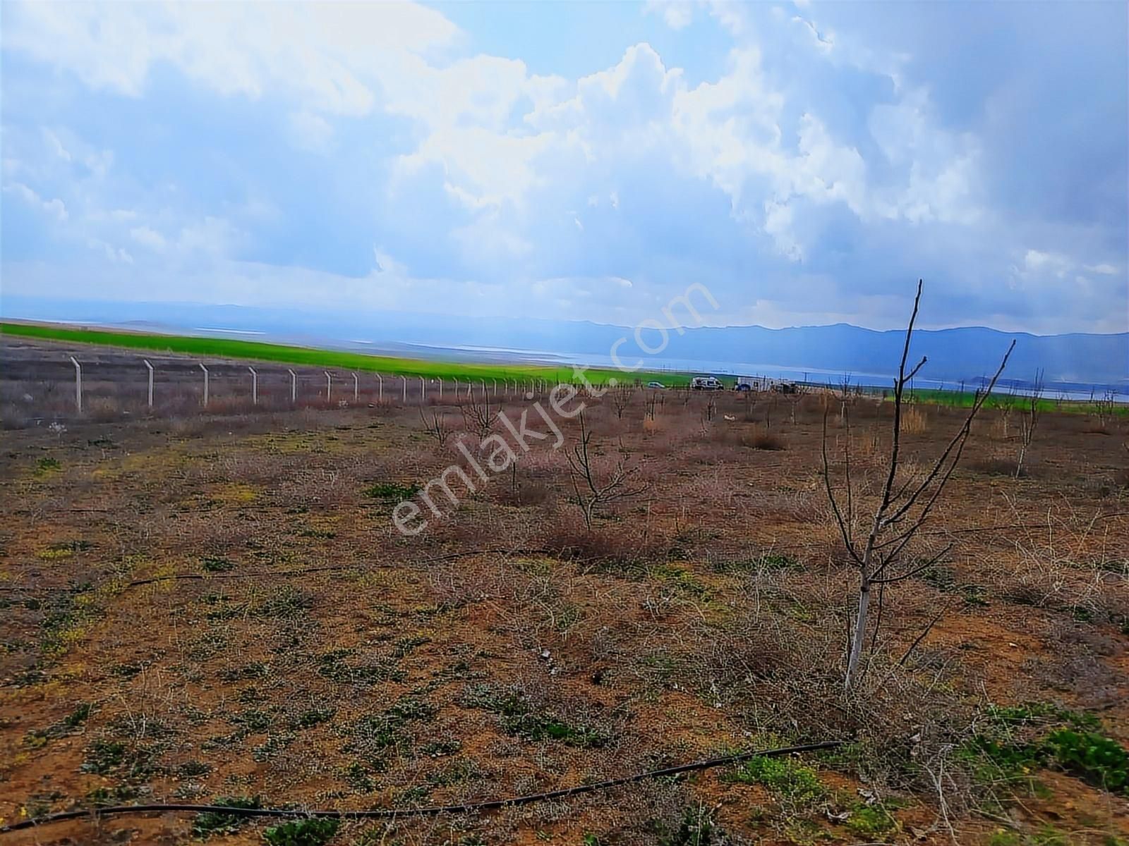 Nokta Emlakta Dönümü 225.000 Tl'ye Yola Sıfır Ceviz Bahçesi - Görsel 10