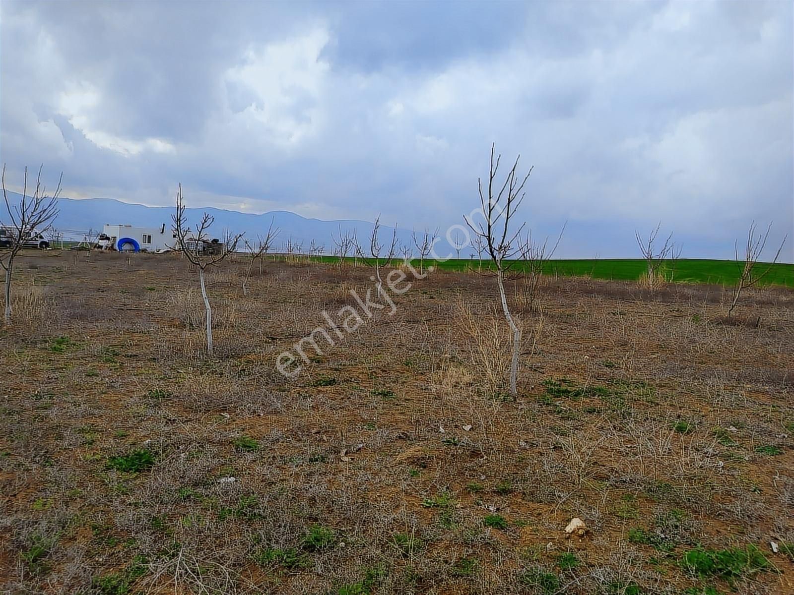 Nokta Emlakta Dönümü 225.000 Tl'ye Yola Sıfır Ceviz Bahçesi - Görsel 26