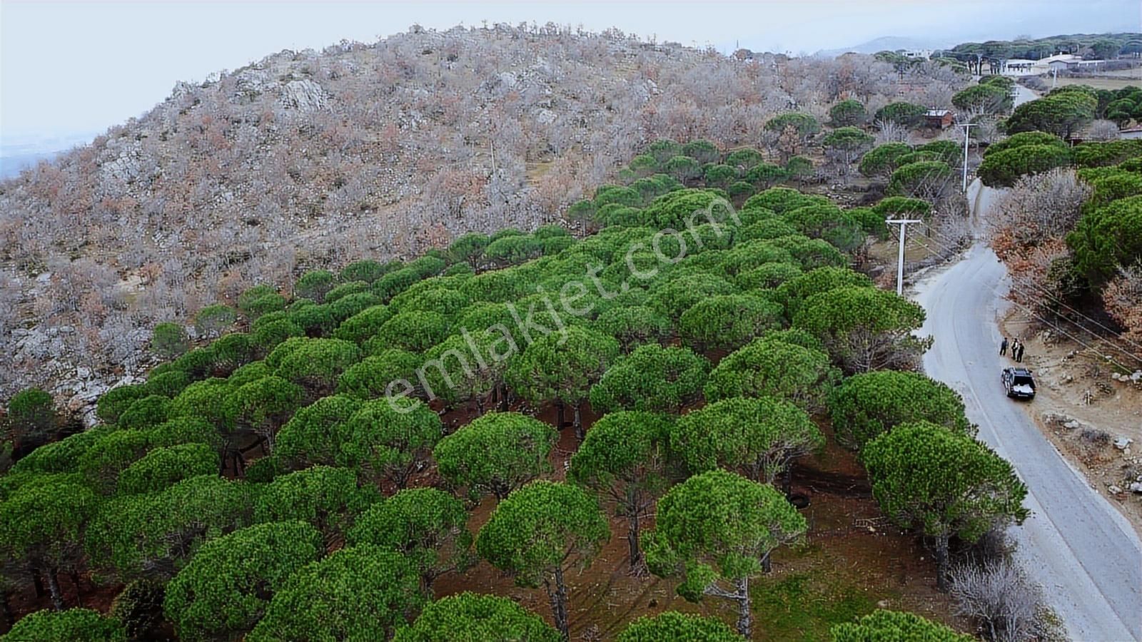 Pinus Gayrimenkulden//kozak Güneşli'de Yola Cepheli Fıstıklık - Görsel 21