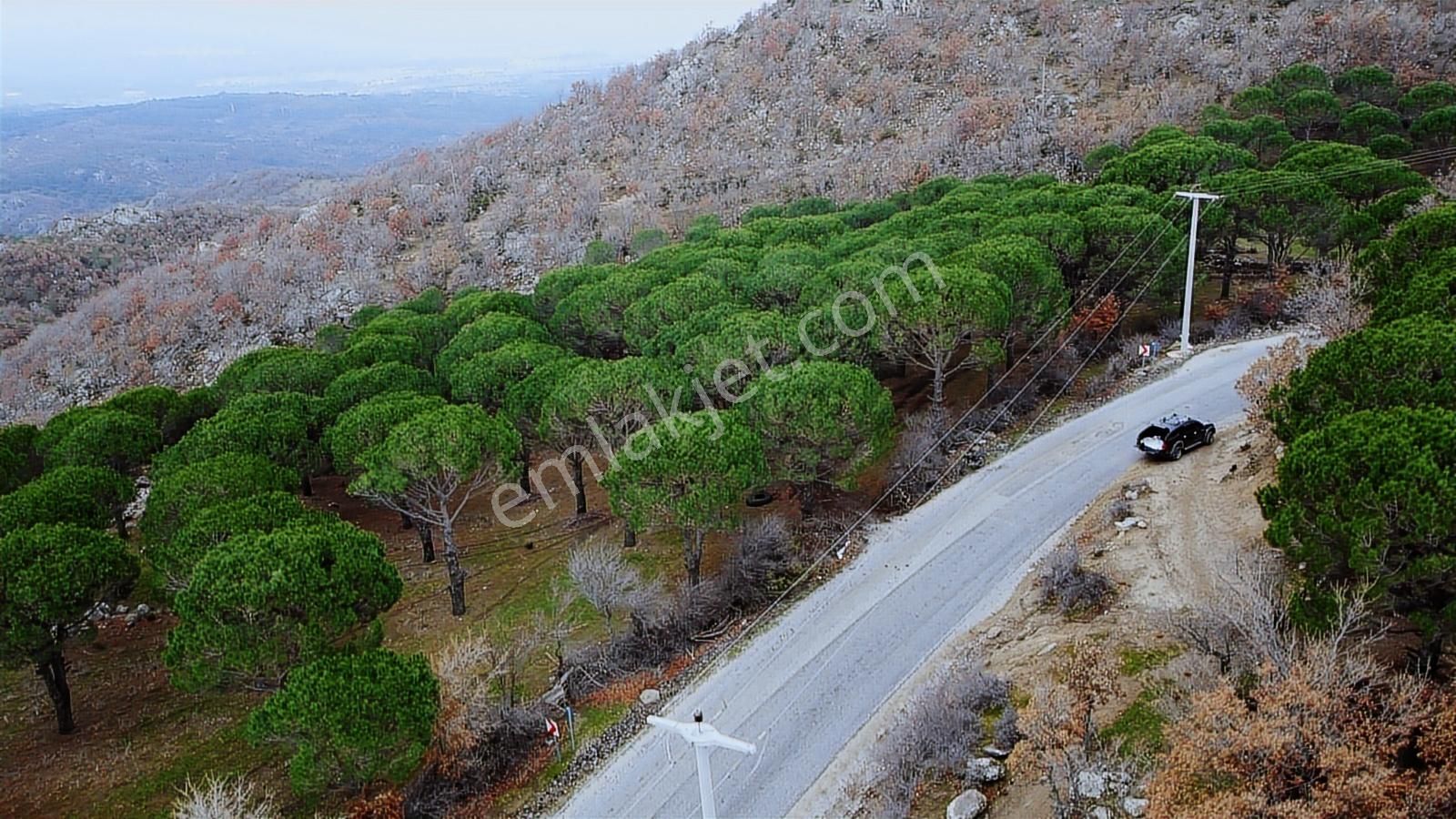 Pinus Gayrimenkulden//kozak Güneşli'de Yola Cepheli Fıstıklık - Görsel 6