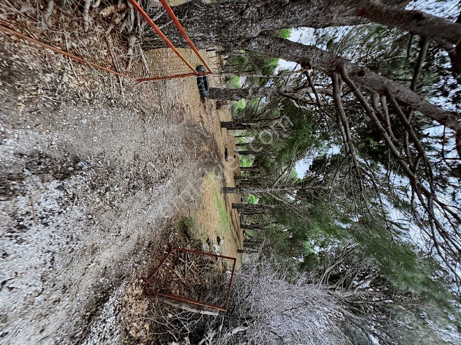 Pinus Gayrimenkulden//kozak Güneşli'de Yola Cepheli Fıstıklık - Görsel 9