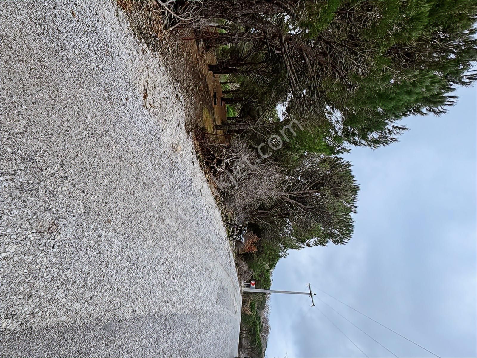 Pinus Gayrimenkulden//kozak Güneşli'de Yola Cepheli Fıstıklık - Görsel 23