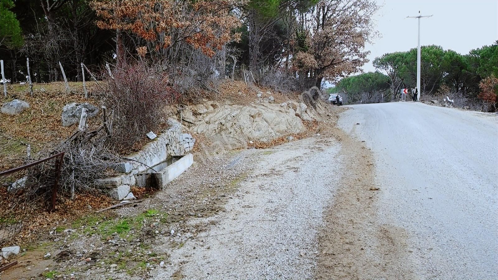Pinus Gayrimenkulden//kozak Güneşli'de Yola Cepheli Fıstıklık - Görsel 11