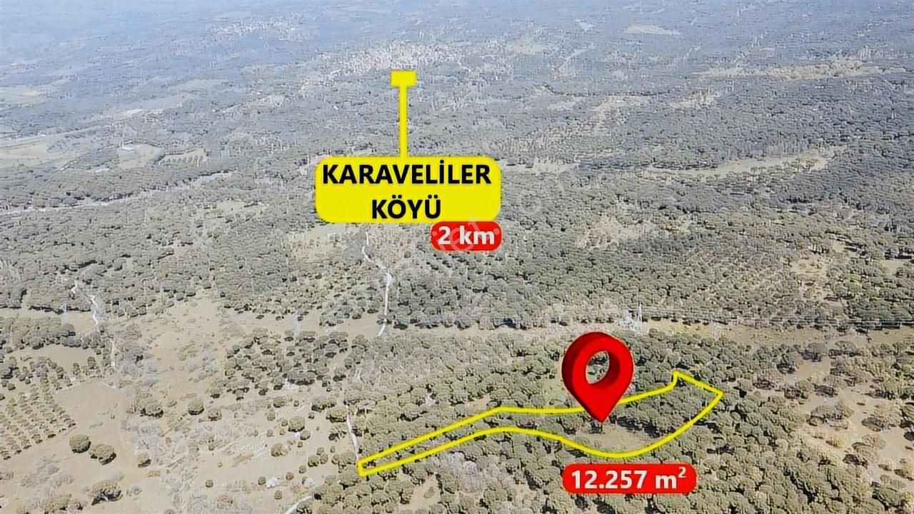 Pinus Gayrimenkul'den//kozak Karaveliler'de 12.257 M² Fıstıklık