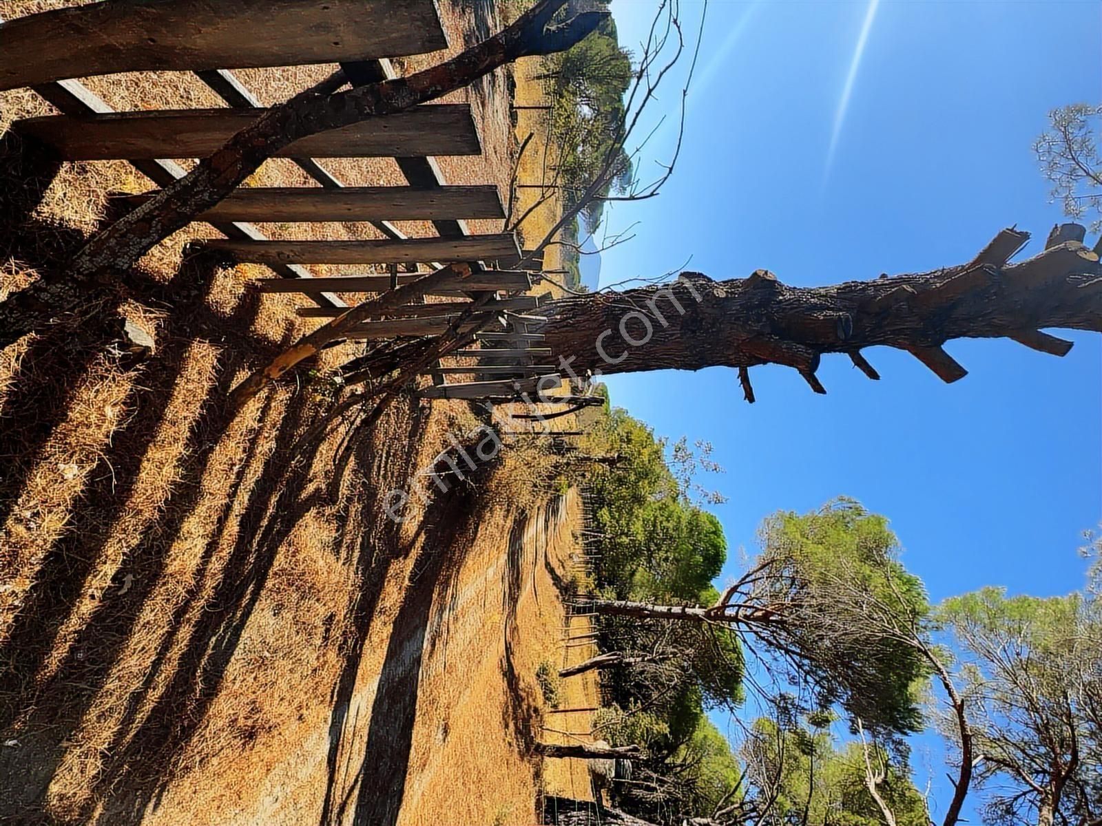 Pinus Gayrimenkul'den//9.810 M² Köye 700 Mt. Satılık Fıstıklık - Görsel 21