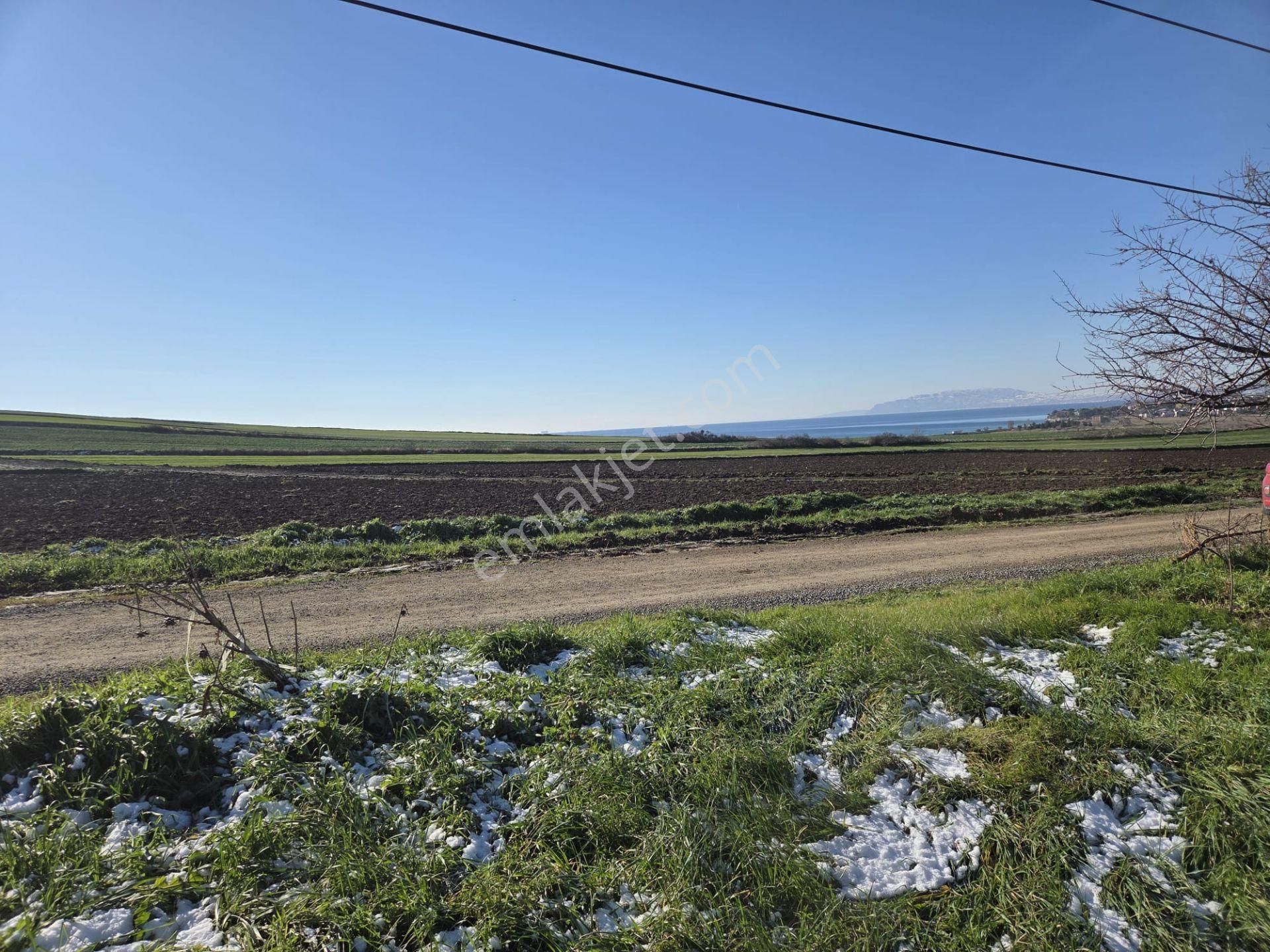 Haydar Emlaktan Yenicede 150 M2 Önü Açık,deniz Manz.yatırımlık Arsa - Görsel 7