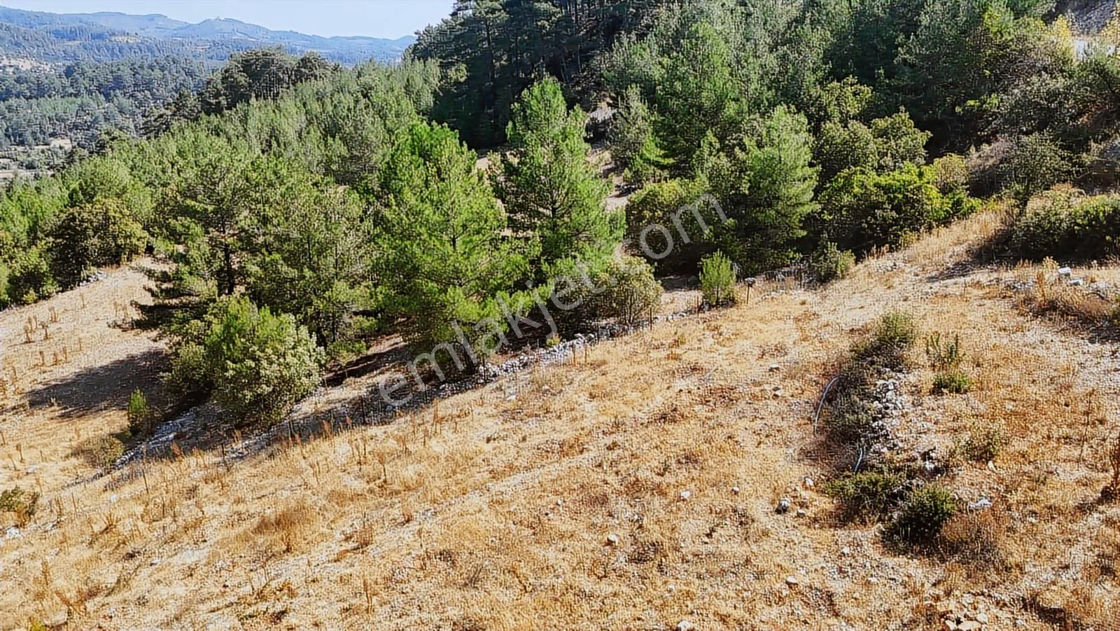 Muğla Menteşe Denizovada Suyun Yanında Asfalt Yol Cepheli Arazi - Görsel 15