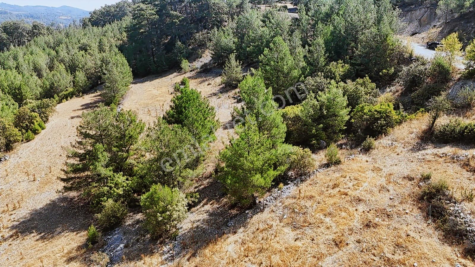 Muğla Menteşe Denizovada Suyun Yanında Asfalt Yol Cepheli Arazi - Görsel 5