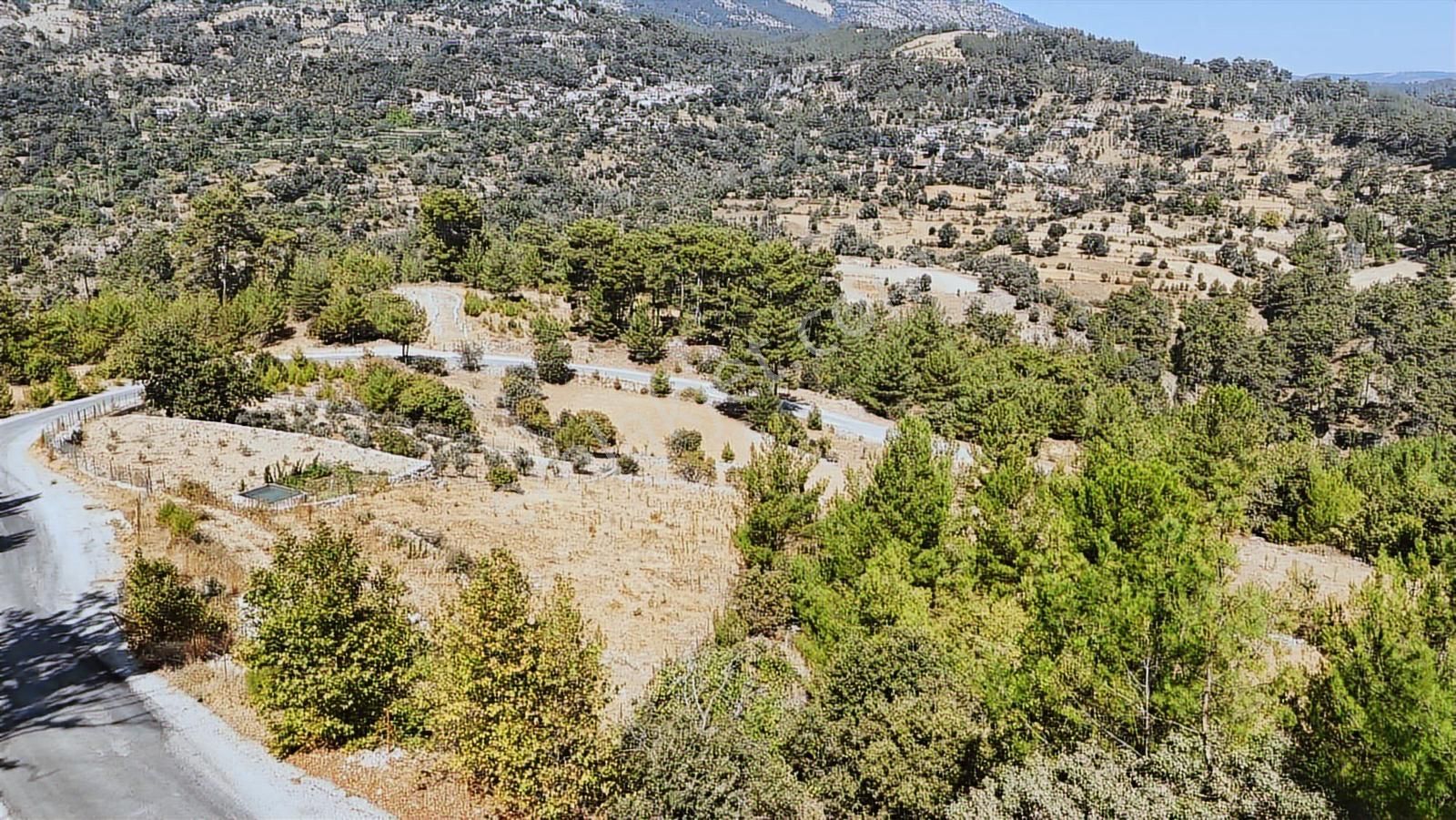 Muğla Menteşe Denizovada Suyun Yanında Asfalt Yol Cepheli Arazi - Görsel 4