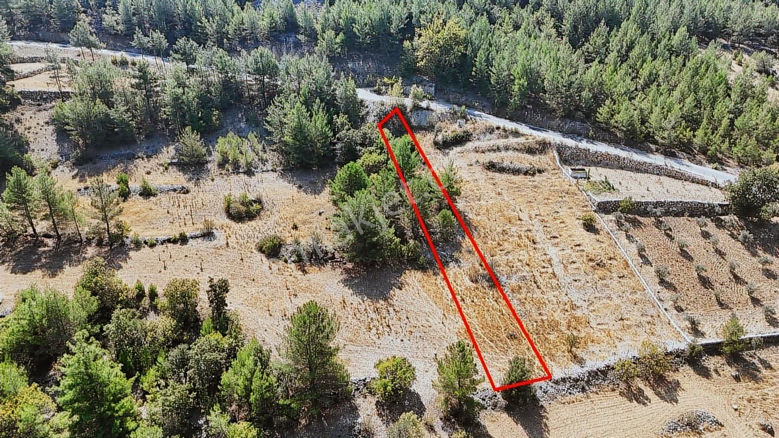 Muğla Menteşe Denizovada Suyun Yanında Asfalt Yol Cepheli Arazi - Görsel 8