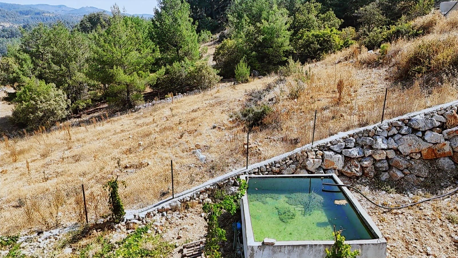 Muğla Menteşe Denizovada Suyun Yanında Asfalt Yol Cepheli Arazi - Görsel 20