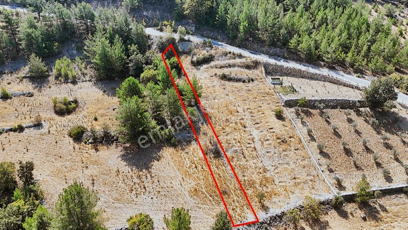 Muğla Menteşe Denizovada Suyun Yanında Asfalt Yol Cepheli Arazi - Görsel 3